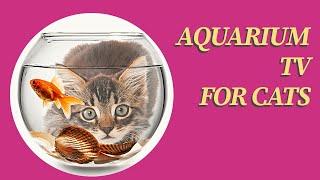 AQUARIUM TV FOR CATS TO WATCH ON YOUTUBE  10 Hours Fish [upl. by Naegem]