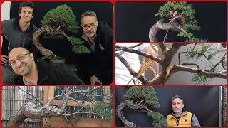 Ho voluto insegnare il bonsai ad un mio allievo in un modo particolare [upl. by Fidelis]