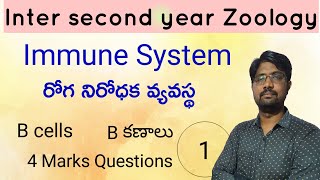 Bcells  Bకణాలు  Inter second year Zoology  Immune system 4 Marks Questions [upl. by Maggie]