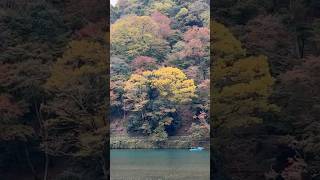 Arashiyama japan arashiyama Late November 2024 cloudy day [upl. by Ruttger]