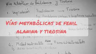 Fenilalanina Tirosina y Catecolaminas Metabolismo [upl. by Illona]