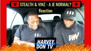 STEALTH amp VINZ  A JE NORMAL HELLBANIANZ Reaction harveydontv STEALTHampVINZ raymanbeats [upl. by Barnabas366]