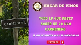 Conoce todo sobre la uva Carmenere  Historia características y maridajes [upl. by Hoffer53]