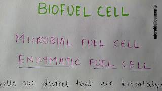 Biofuel cell 2 enzymatic fuel cell or what is enzymatic fuel cell [upl. by Alta]