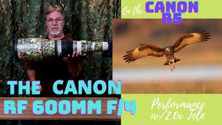 Canon R5 and RF 600mm Performance with 2x Teleconverter [upl. by Nuahc]