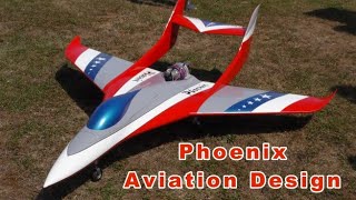 Aviation Design Phoenix  Turbine Jetcat P80  Pilote Benjamin  Les Ailes Touloises Le 09072022 [upl. by Placidia]