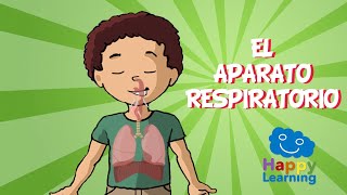 EL APARATO RESPIRATORIO  Videos Educativos para Niños [upl. by Lyndsay]