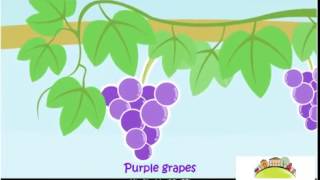 Chinese Childrens Song Fruit Song 水果歌 [upl. by Melleta]