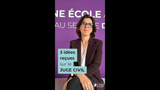 Juge civil 3 idées reçues avec Madame Kretowicz Présidente du TJ de Lille [upl. by Streeto]