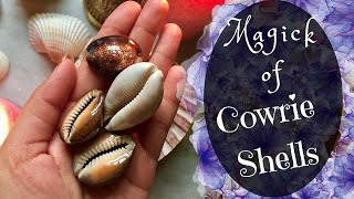 The Secret Spiritual Powers Of Cowries how to use Cowries to Attract Money Love Favour [upl. by Tenneb]