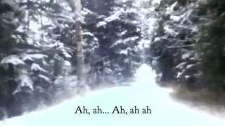 quotThe Ice Age Songquot  Lyric Video [upl. by Lombard757]