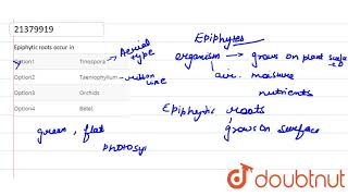 Epiphytic roots occur in [upl. by Tarrsus11]