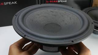 Scanspeak Classic 25W856500 10quot Woofer [upl. by Sanson]