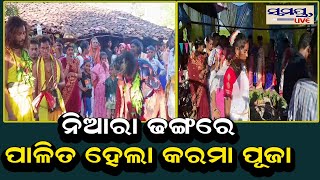 ନିଆରା ଢଙ୍ଗରେ ପାଳିତ ହେଲା କରମା ପୂଜା  Odia News Live Updates  Latest Odia News  Samayalive [upl. by Novah]