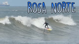 Whales and Surf Rosa Beach North Imbituba  14th August 2022 RAW [upl. by Nedearb]