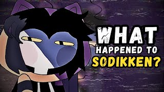 What Happened to Sodikken [upl. by Okimuy]