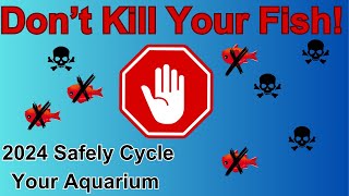 2024 Beginning Fishkeepers The NitrogenAmmonia CycleSafely Cycle Your Tank amp Add Fish Immediately [upl. by Brackely203]