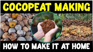 How to make COCOPEAT at Home [upl. by Valonia287]