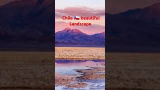 Chile landscape and beautiful birds [upl. by Trevethick]