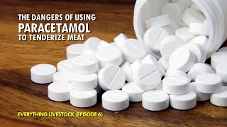 THE DANGERS OF USING PARACETAMOL TO TENDERIZE MEAT [upl. by Belia]