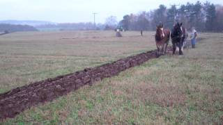 Horse Ploughing Luncarty Perthshire Scotland [upl. by Aniwde49]