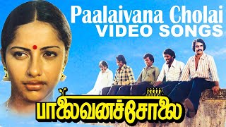 Palaivana Cholai Video Songs  பாலைவனச்சோலை பாடல்கள் சுஹாசினி சந்திரசேகர் [upl. by Ettezoj]