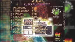 Mr Black  Braulio El Templao El Teso De Braulio Audio [upl. by Idham]