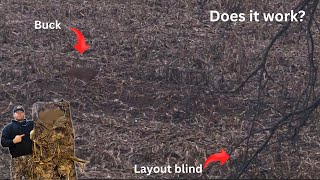 Deer hunting from a layout blind Does it work [upl. by Jain]