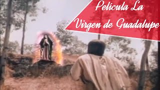 Película quotLa Virgen de Guadalupequot Narra la Historia de las Apariciones de la Virgen de Guadalupe [upl. by Bauske]