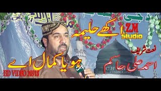 Aakhy Haleema Hoya Kamal Ay  Ahmad Ali Hakim 2018  New Naat 2018 By ZM Studio [upl. by Phippen]