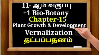 TN 11TH STD BIOBOTANY CHAPTER15 VERNALIZATION MECHANISM OF VERNALIZATION [upl. by Melly]