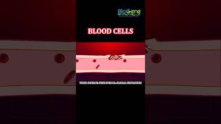 Blood Clotting trending learn science biology [upl. by Mckinney]