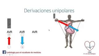 Derivaciones unipolares [upl. by Nelrah]