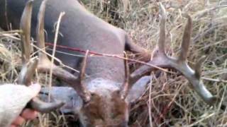 Minnesota Whitetail Big Buck 10 Point 111411  Whitetail Deer Hunting in Lake of the Woods County [upl. by Aisanat]