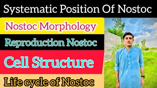 Systematic Position Of Nostoc  Reproduction Life Cycle of Nostoc [upl. by Ynohtnanhoj]