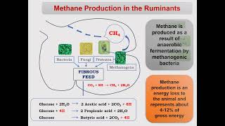 Rumen Manipulation to Reduce Methanogenesis by Dr Kaushalendra Kumar Animal Nutrition BVC Patna [upl. by Noryk925]