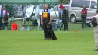 Rottweiler World Championship IPO III IFR 2009 RU  2 [upl. by Attah219]