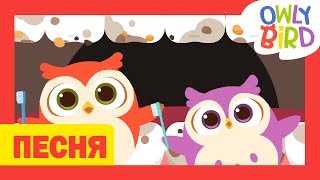 Песня для детей l Brush Your Teeth l Детские песни с хорошей привычкой l OwlyBird [upl. by Asilam]