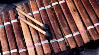 Xylophone Ringtone Free Music Ringtones For Android MP3 Download [upl. by Gnihc645]