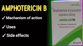 amphotericin b pharmacology [upl. by Aicyle]