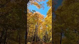 Autumn on the Keweenaws Covered Road  Subscribe to Remote Workforce Keweenaw fallcolor [upl. by Darla608]