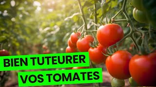 COMMENT TUTEURER DES TOMATES SUR DEUX LIANES [upl. by Stclair]