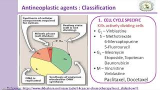 Antineoplastic agents classification [upl. by Aihsoj]