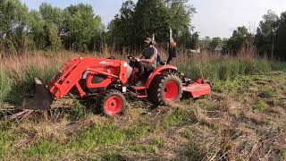 26 Kioti CK3510 Brush Hogging 7ft Tall Switchgrass [upl. by Aihsel]