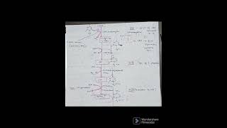 Pyrimidine synthesis pathway india mbbs medical notes biochemistry pyrimidine pathway [upl. by Fries]