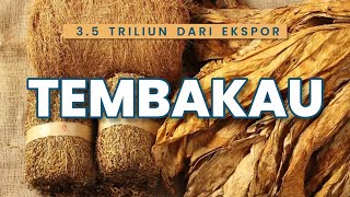 CUAN 35 TRILLIUN RUPIAH DARI EKSPOR TEMBAKAU   US210 MILLION TOBACCO EXPORT VALUE [upl. by Tati]