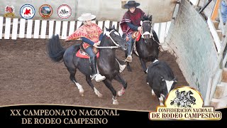 SERIES PROMOCIONALES 20° CAMPEONATO NACIONAL DE RODEO CAMPESINO 2024 [upl. by Waynant]