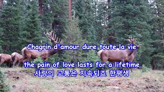 Plaisir DamourPleasure of Love  Nana Mouskouri with LyricsFrenchEnglish가사번역  사랑의 기쁨 [upl. by Carley600]