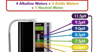 Alkaline water testing live demo in my house kengen water kangenwatermachine [upl. by Windham]