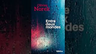 Olivier Norek Entre deux mondes  Livre Audio  Francais Complet [upl. by Neiv]